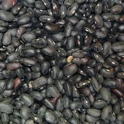 Black beans
