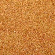 Lentils