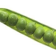 Green peas